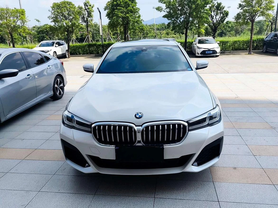 BMW 5 Series 525Li M Sport Package - exterior