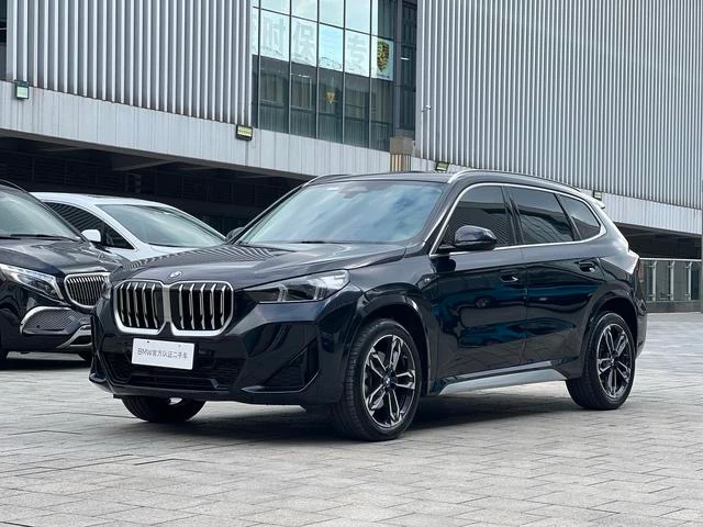 BMW X5 xDrive 25Li M Sport Package