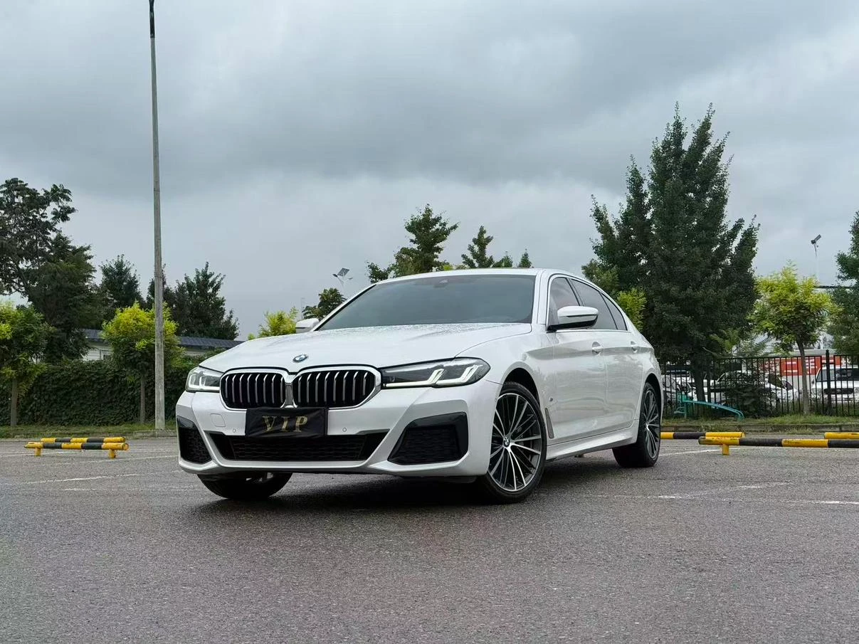 BMW 5 Series 530Li Leading M Sport Package