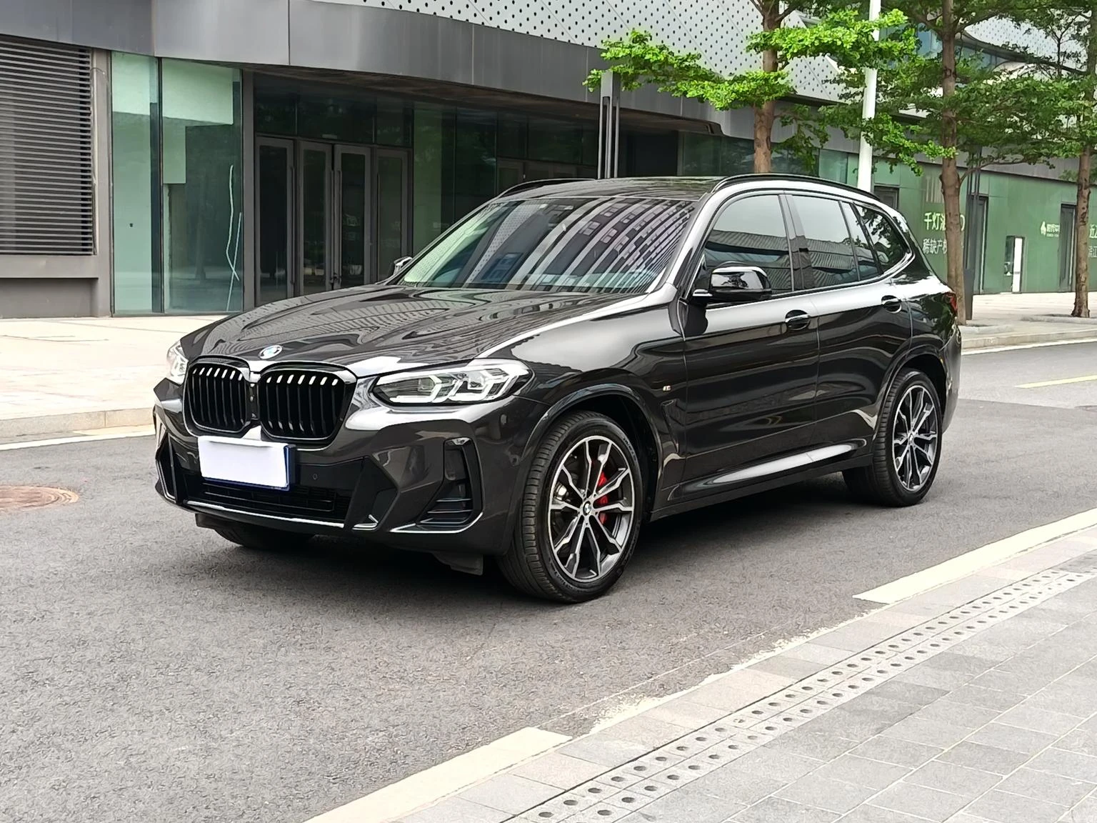 BMW X3 xDrive30i Leading M Night Edition Package