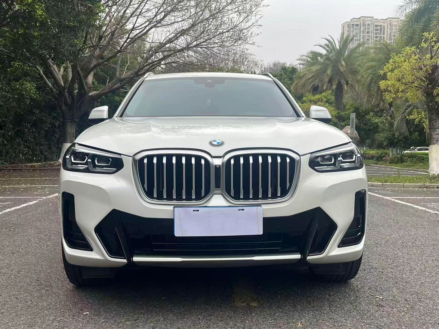 BMW X3 xDrive25i M Sport - exterior