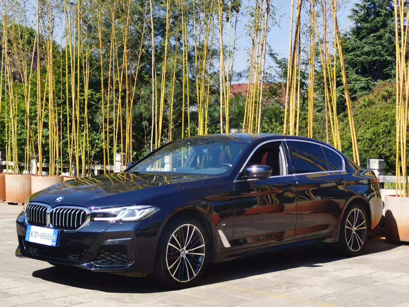 BMW 5 Series 530i M Sport