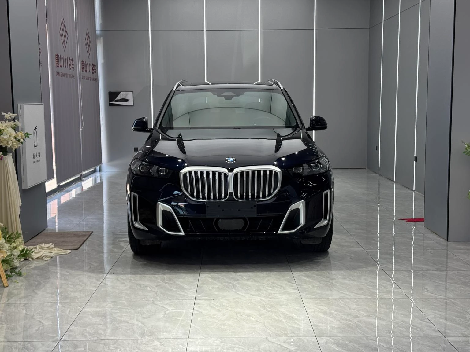 BMW X5 xDrive30Li Luxury M Sport Package - exterior