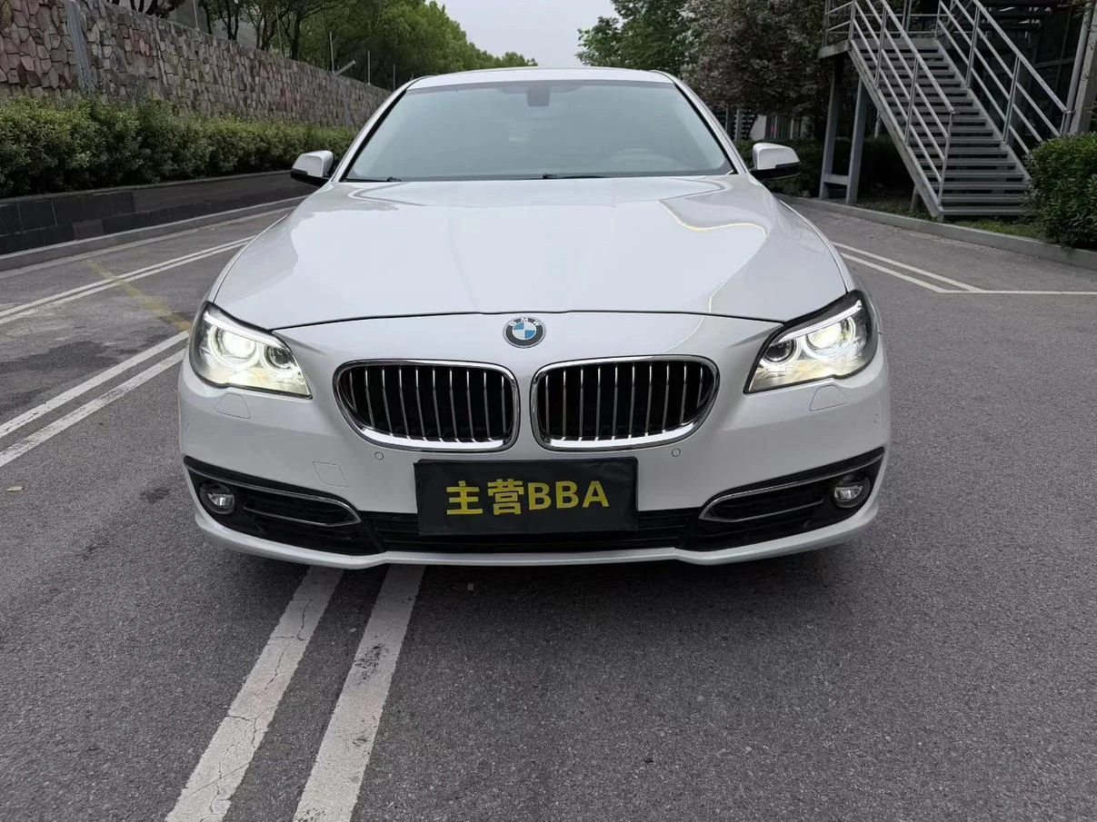 BMW 5 Series 525Li Luxury Design Package - exterior
