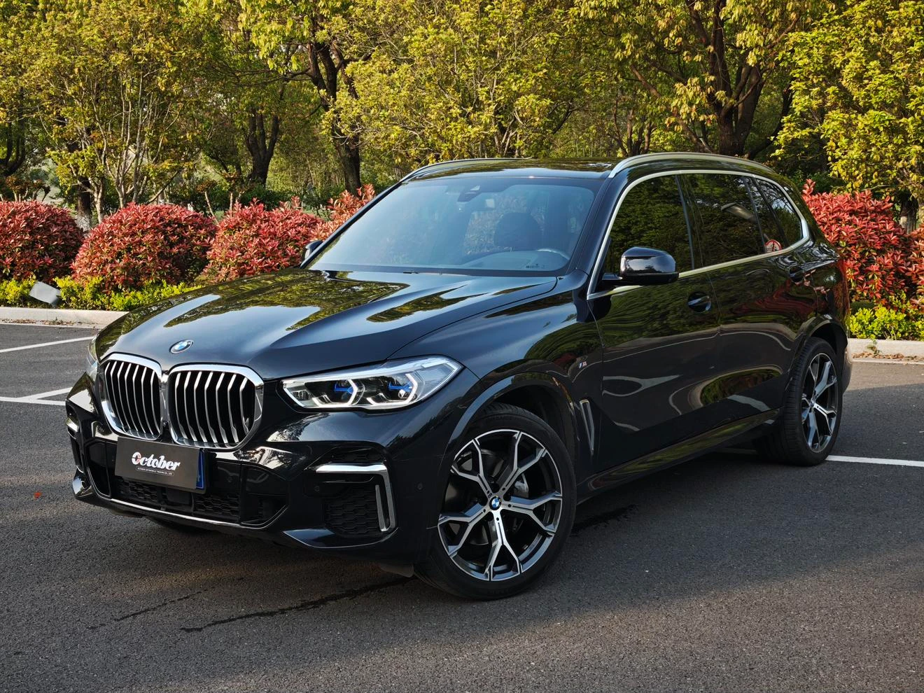 BMW X5 xDrive 40Li M Sport