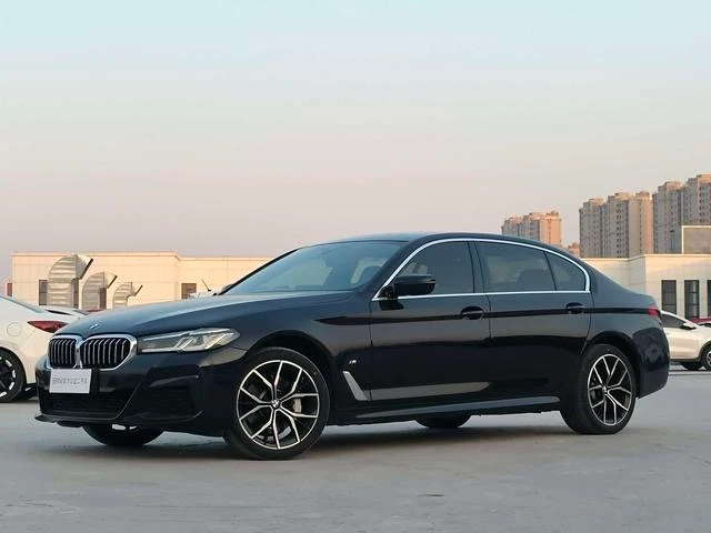 BMW 5 Series 530Li Luxury