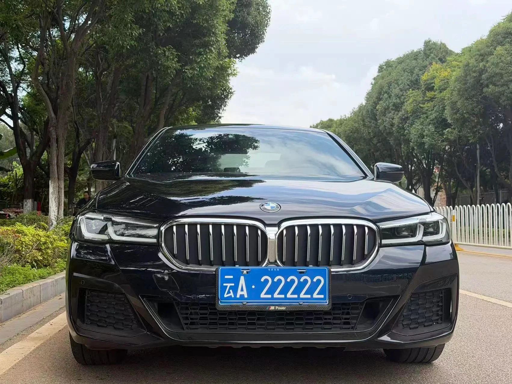 BMW 5 Series 530Li Leading - exterior