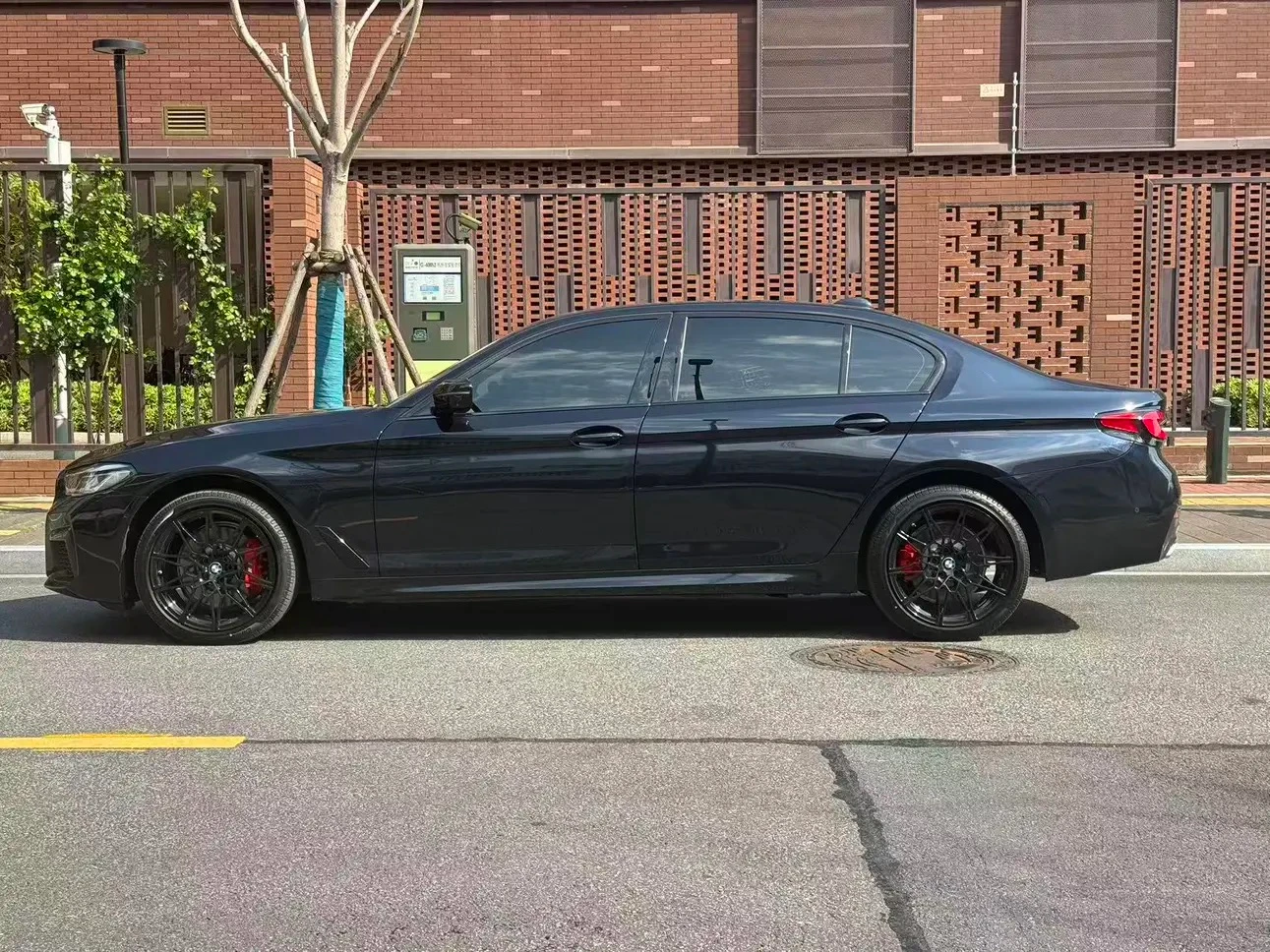 BMW 5 Series 530Li Luxury - exterior