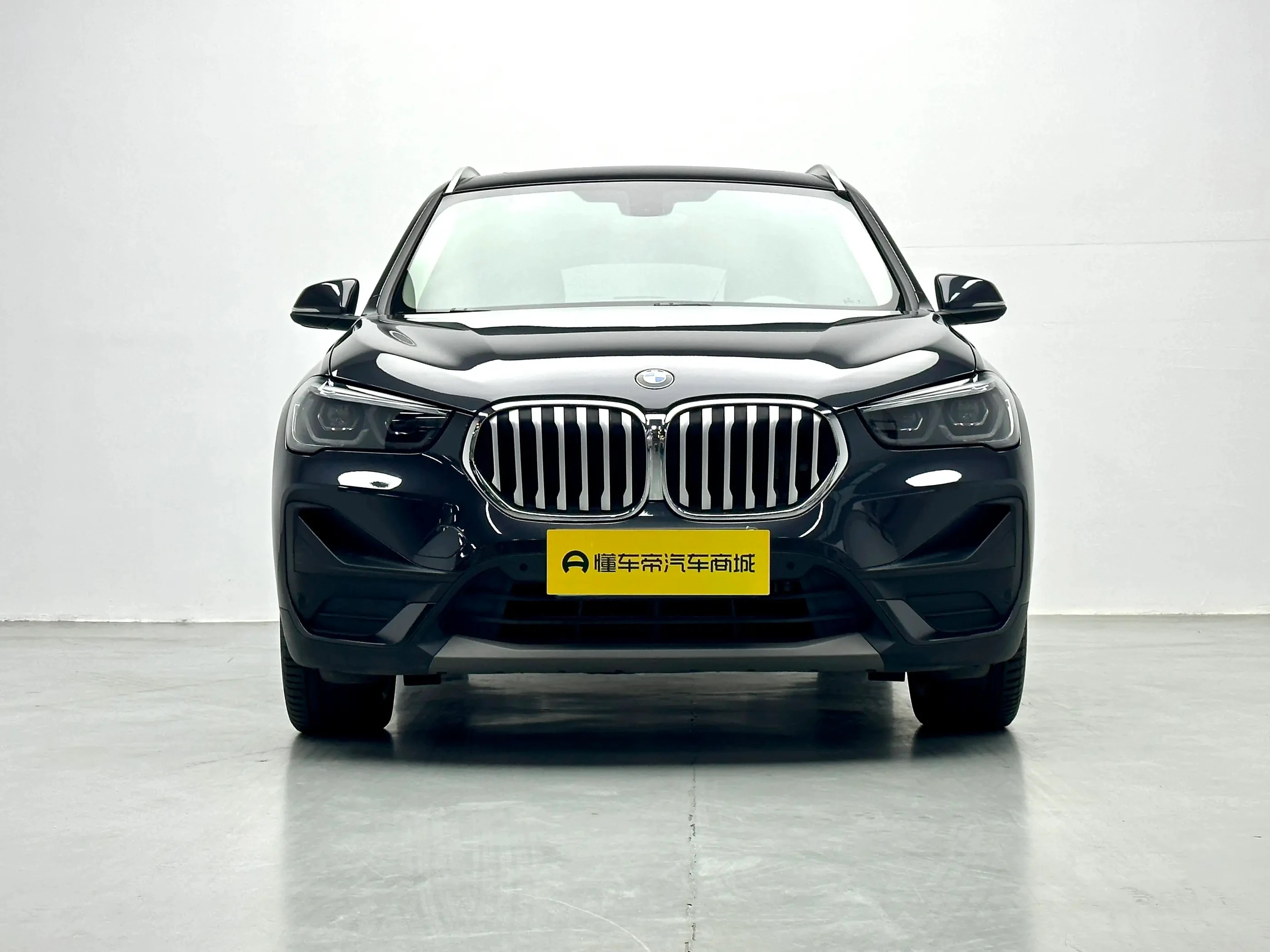 BMW X5 xDrive 25Li Leading - exterior