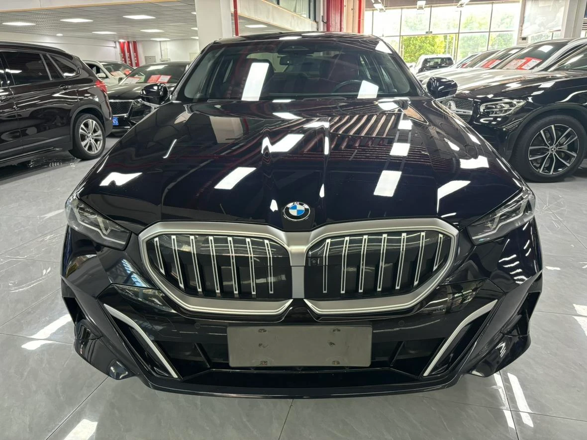 BMW 5 Series 530Li Leading M Sport Package - exterior