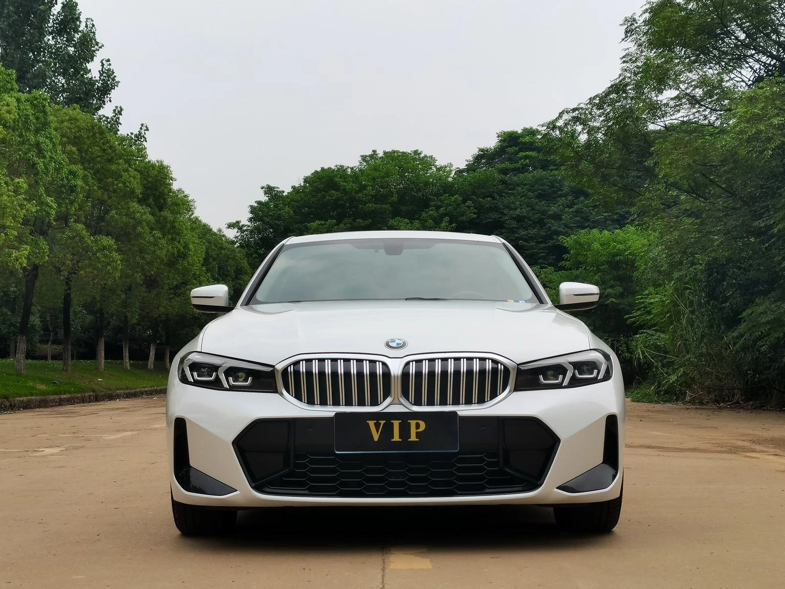 BMW 3 Series 320Li M Sport Package - exterior
