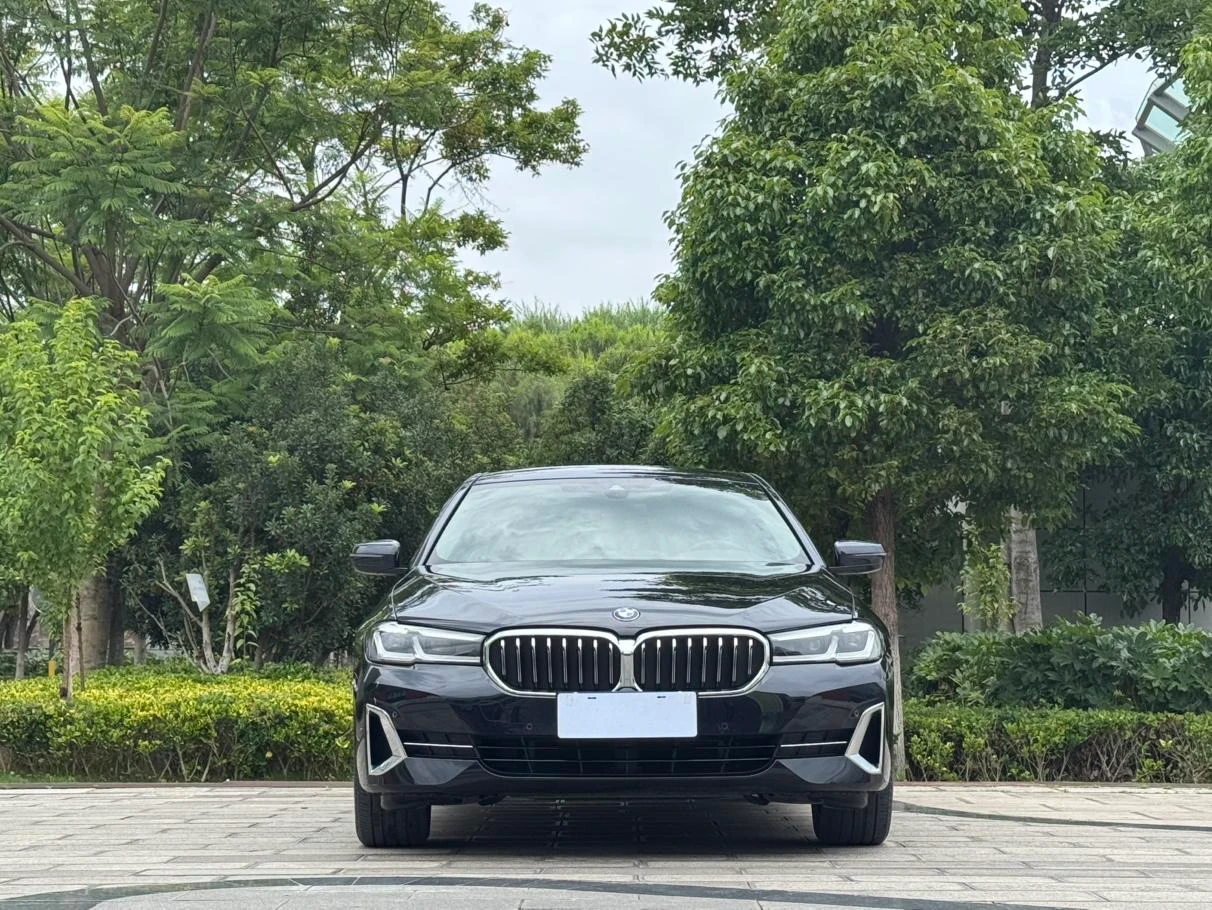 BMW 5 Series 530Li Leading Luxury Package - exterior
