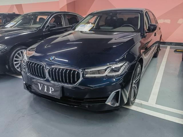 BMW 5 Series 530Li Leading
