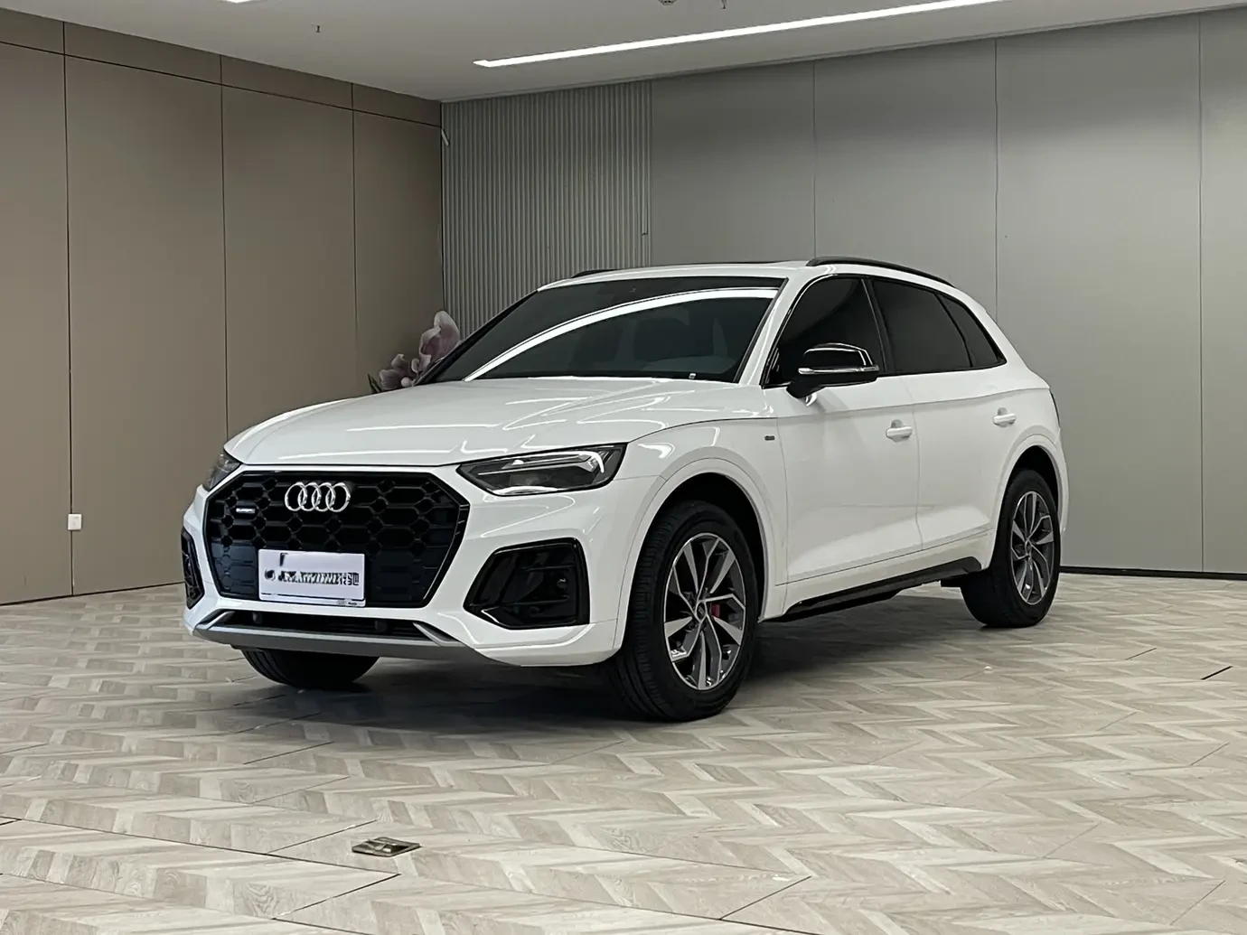Audi Q5L 40TFSI Luxury Dynamic Model