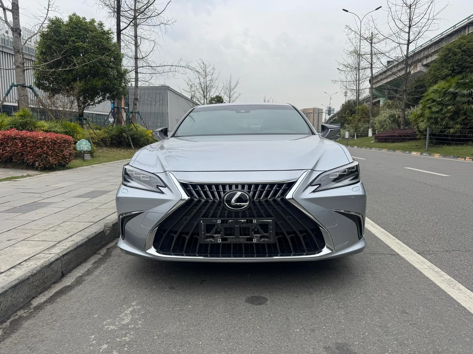 Lexus ES 300h Luxury Edition - exterior
