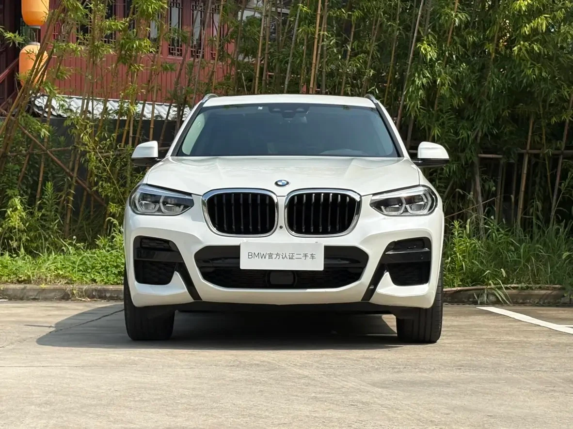BMW X3 30i Leading Edition - exterior