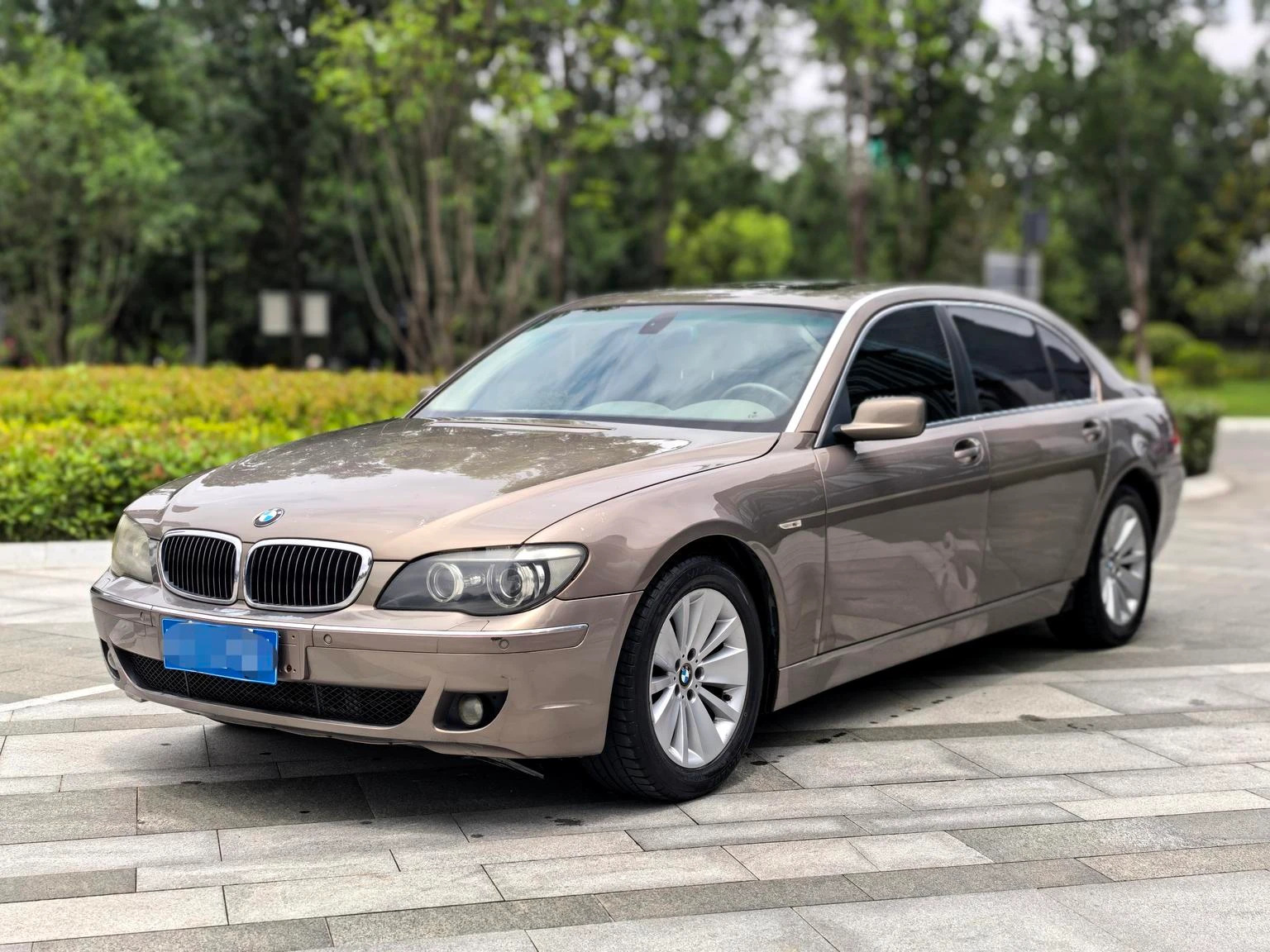 BMW 7 Series  730Li 
