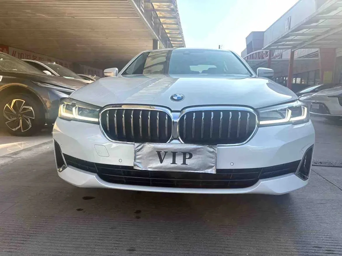 BMW 5 Series 530Li Leading - exterior