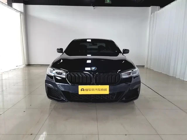 BMW 5 Series 530Li Leading Edition - exterior