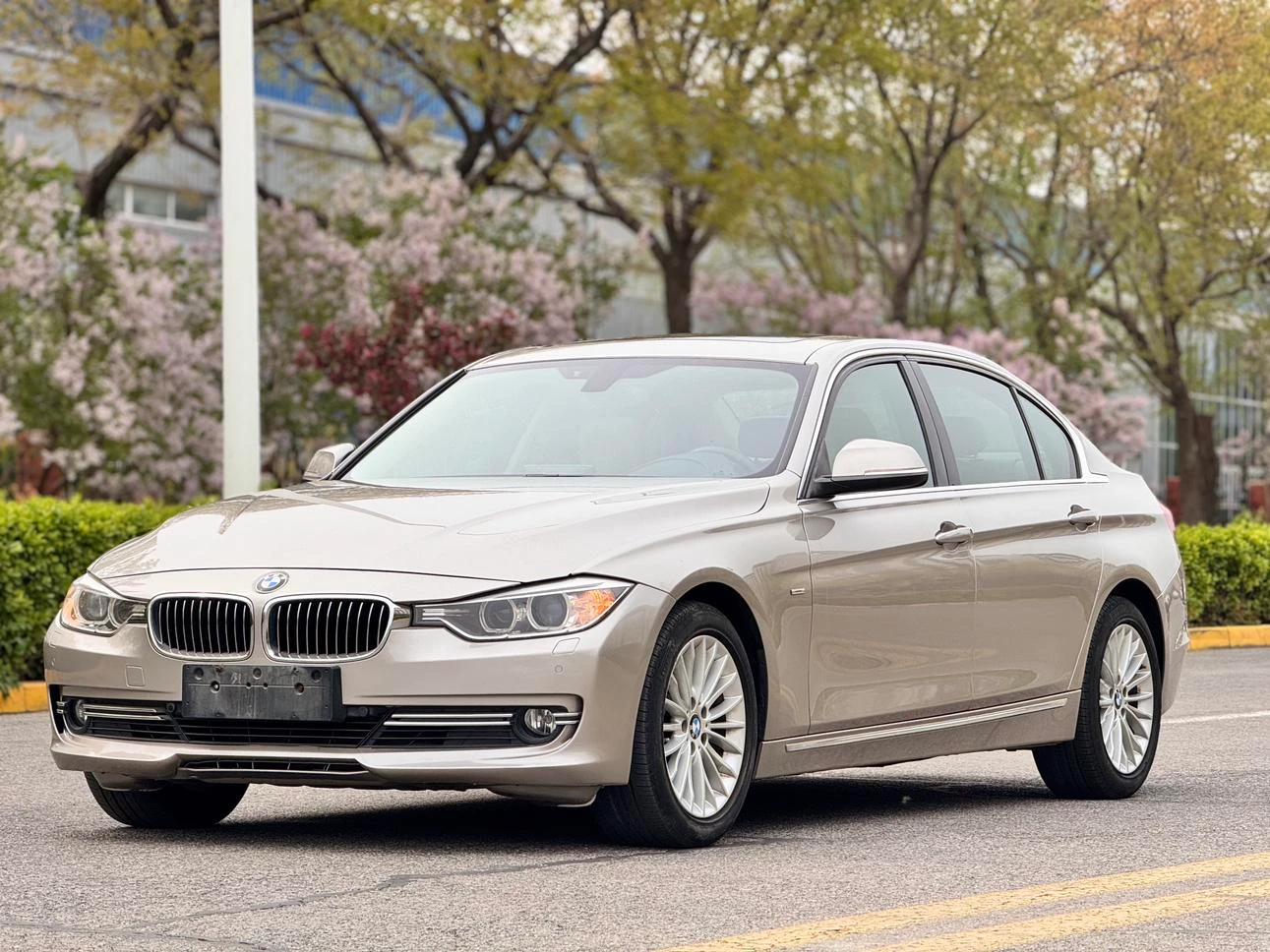 BMW 3 Series 320Li 