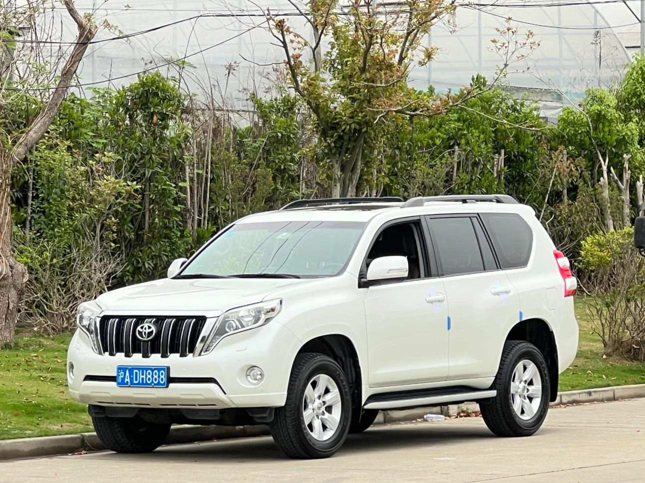 Toyota Prado