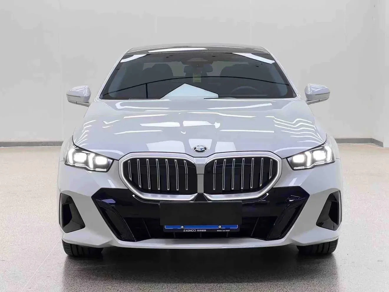 BMW 5 Series 530Li Leading - exterior