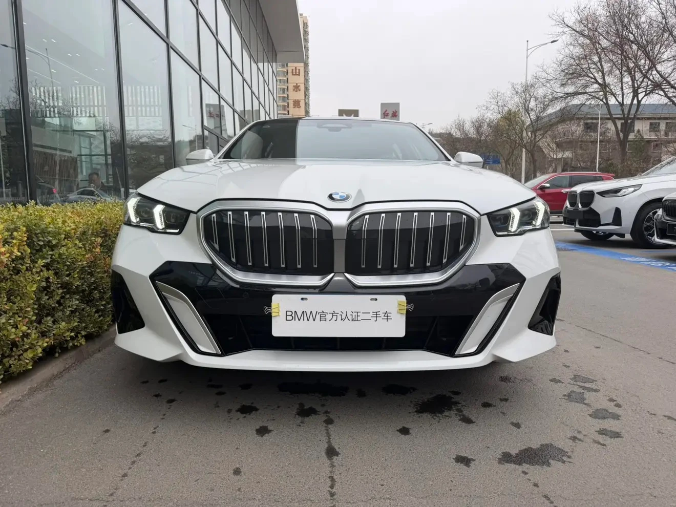 BMW 5 Series 530Li Luxury - exterior