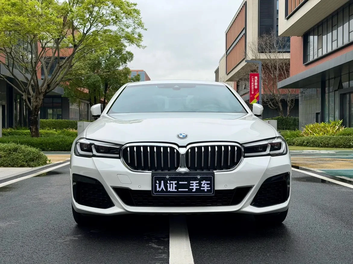 BMW 5 Series 530Li Leading - exterior