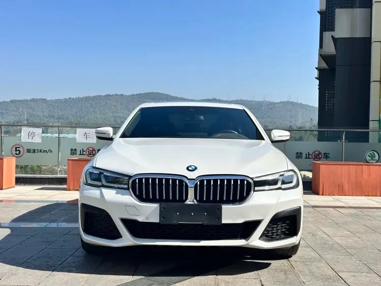BMW 5 Series 530Li M Sport - exterior