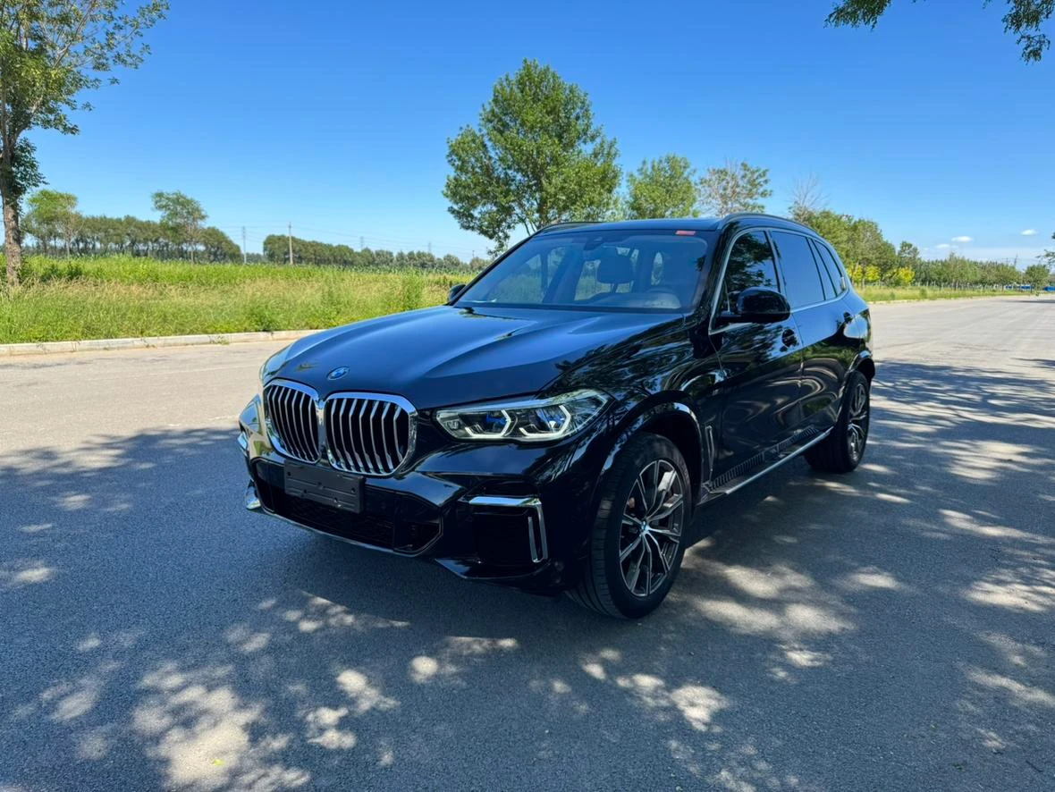 BMW X5 xDrive 30Li M Sport