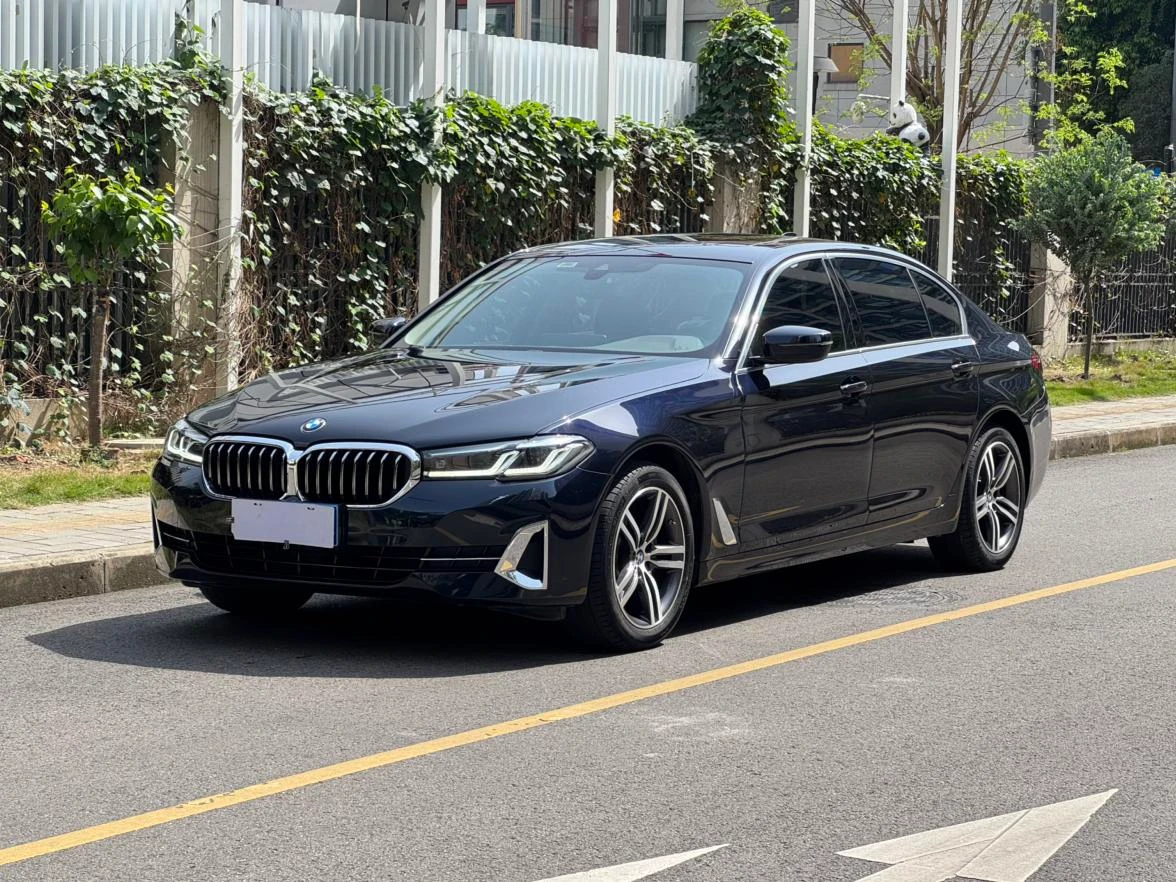 BMW 5 Series 525Li Luxury Package - exterior