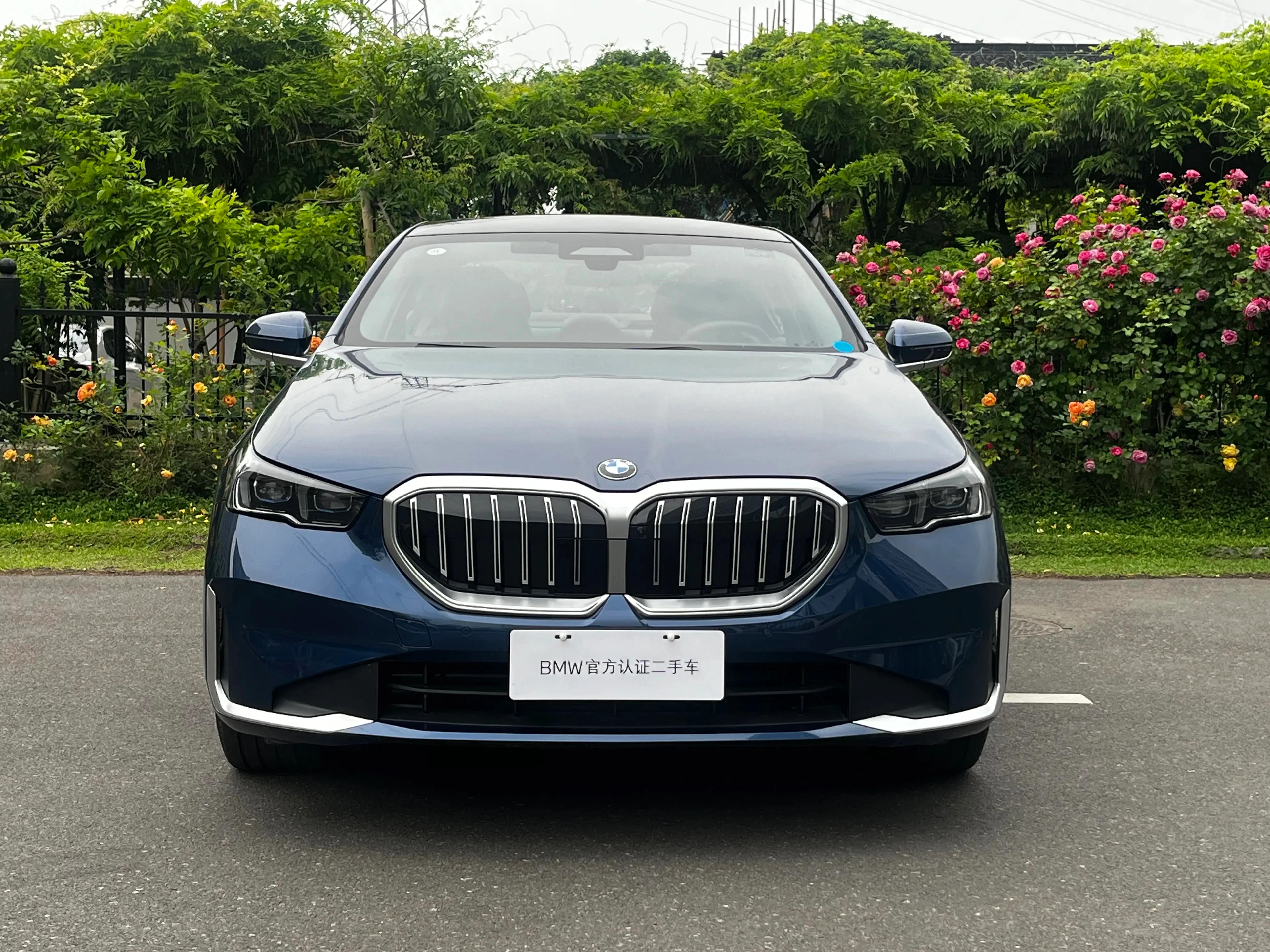 BMW 5 Series 530Li Luxury - exterior