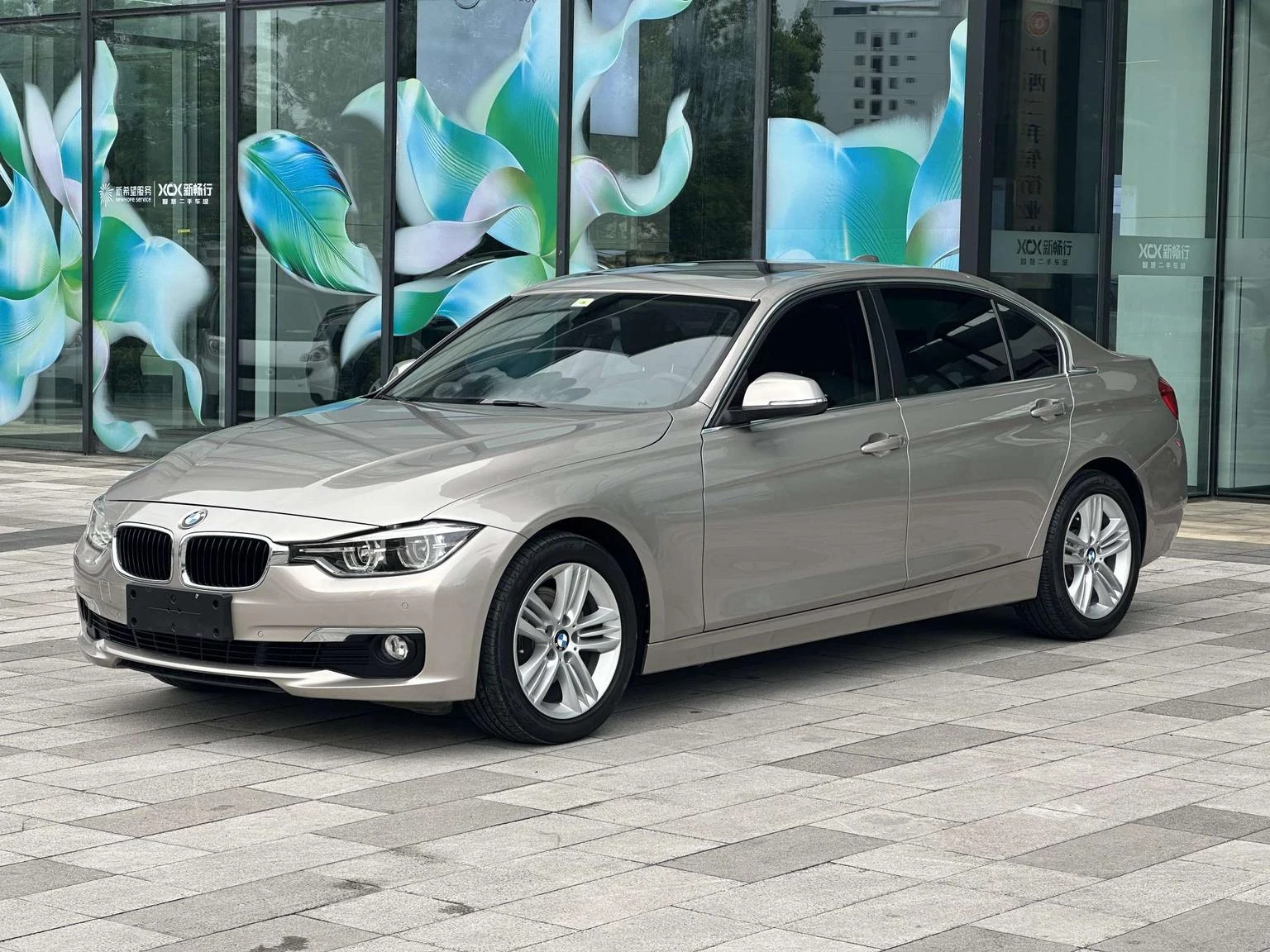 BMW 3 Series  320Li 