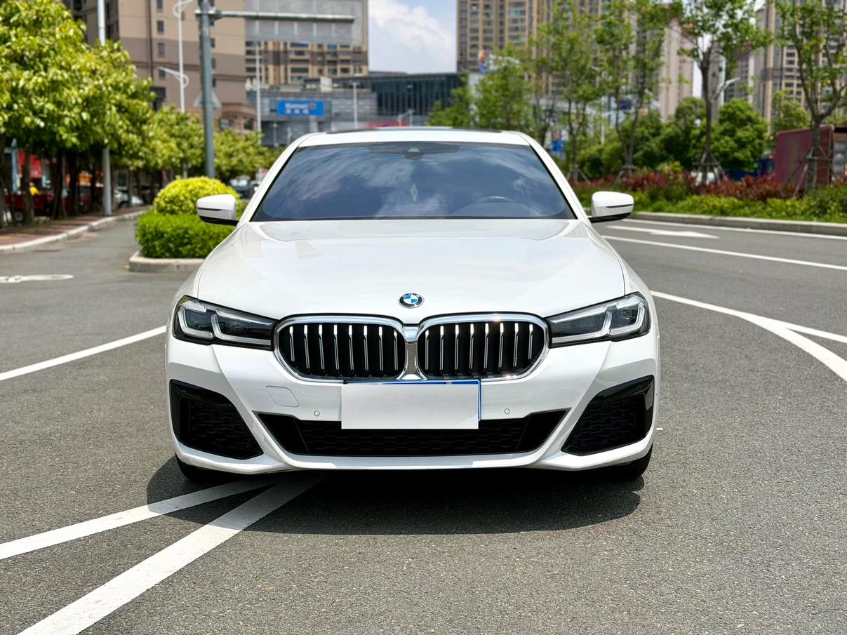 BMW 5 Series 530Li Leading M Sport - exterior
