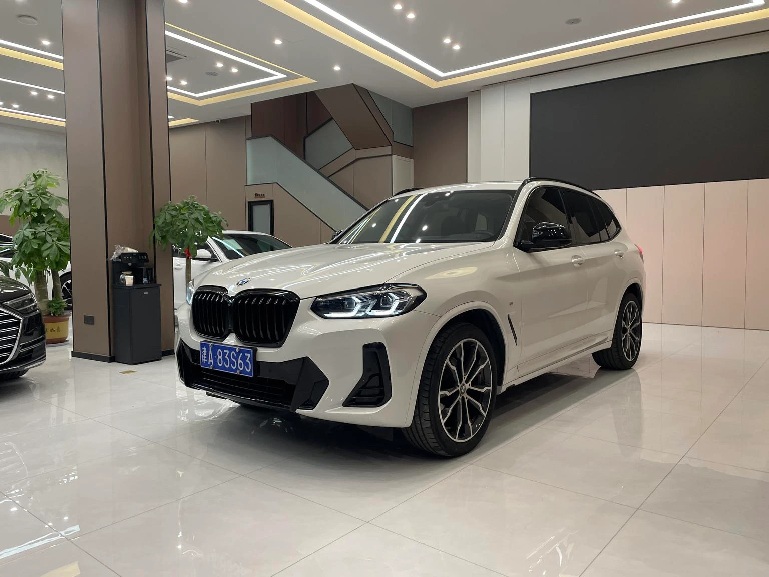 BMW X3 xDrive30i Leading M Sport 