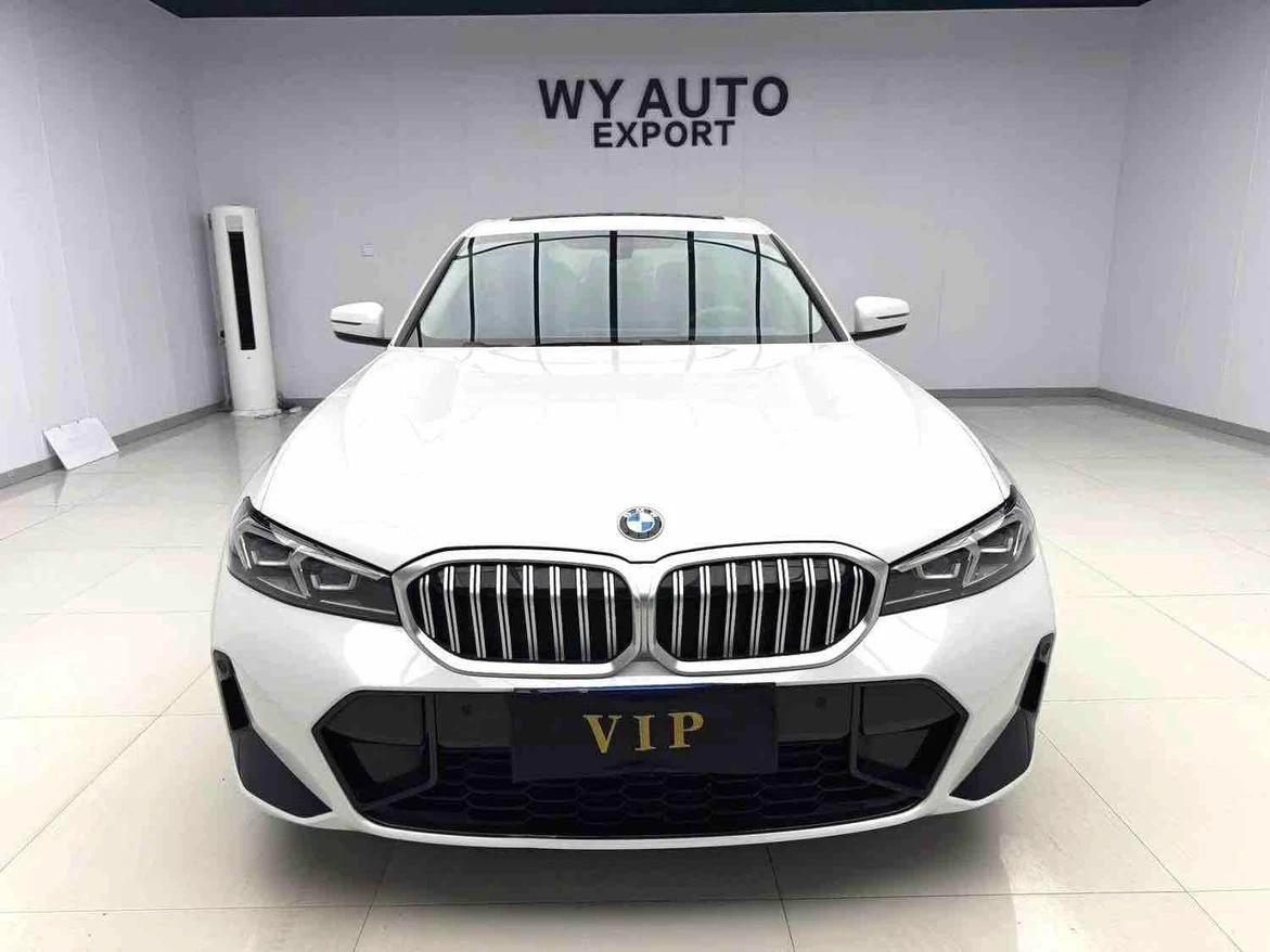 BMW 3 Series 320Li M Sport Package - exterior