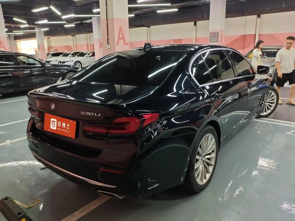 BMW 5 Series 530Li Leading Edition - exterior