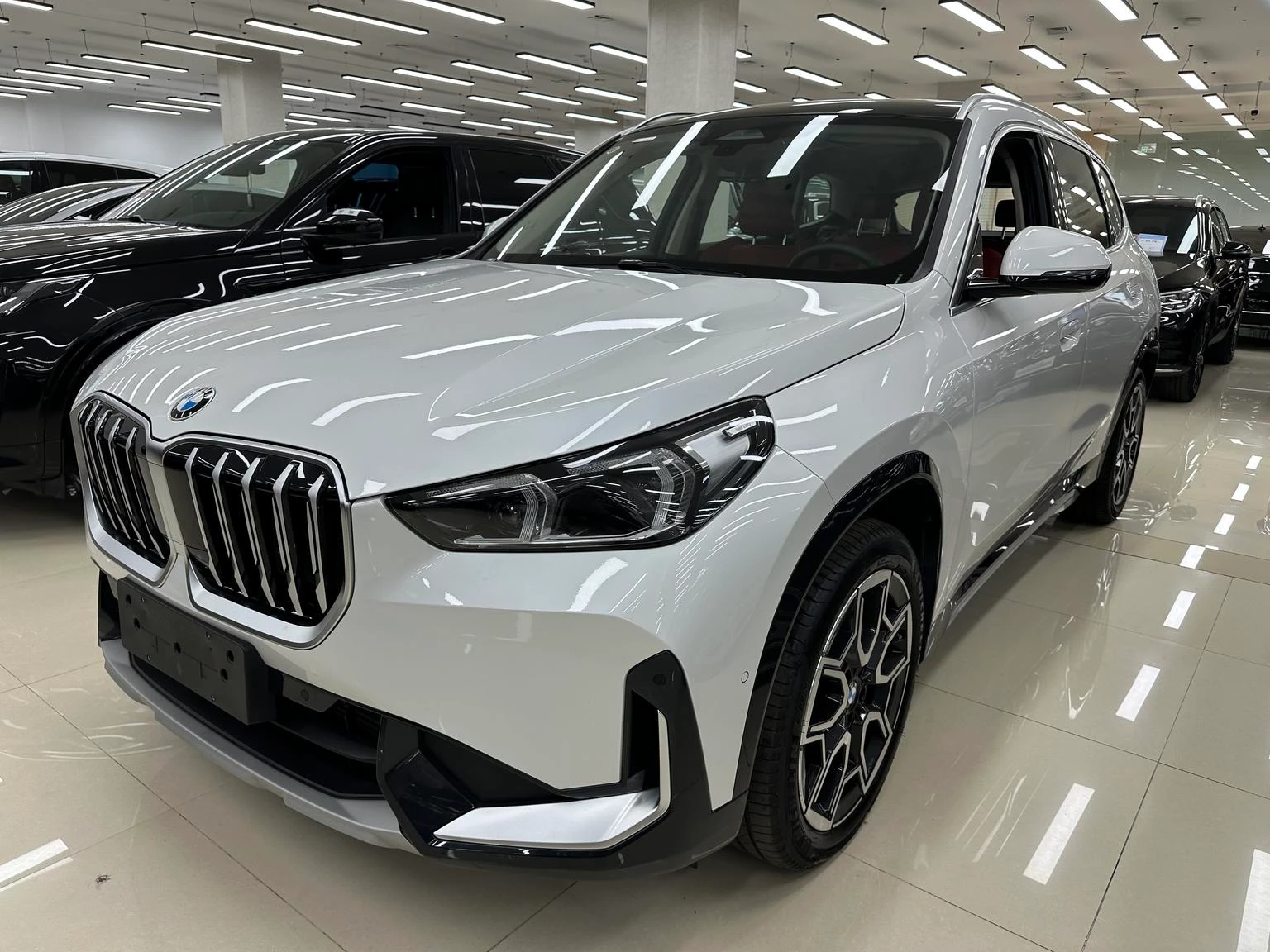 BMW X1 sDrive25Li X Design Package