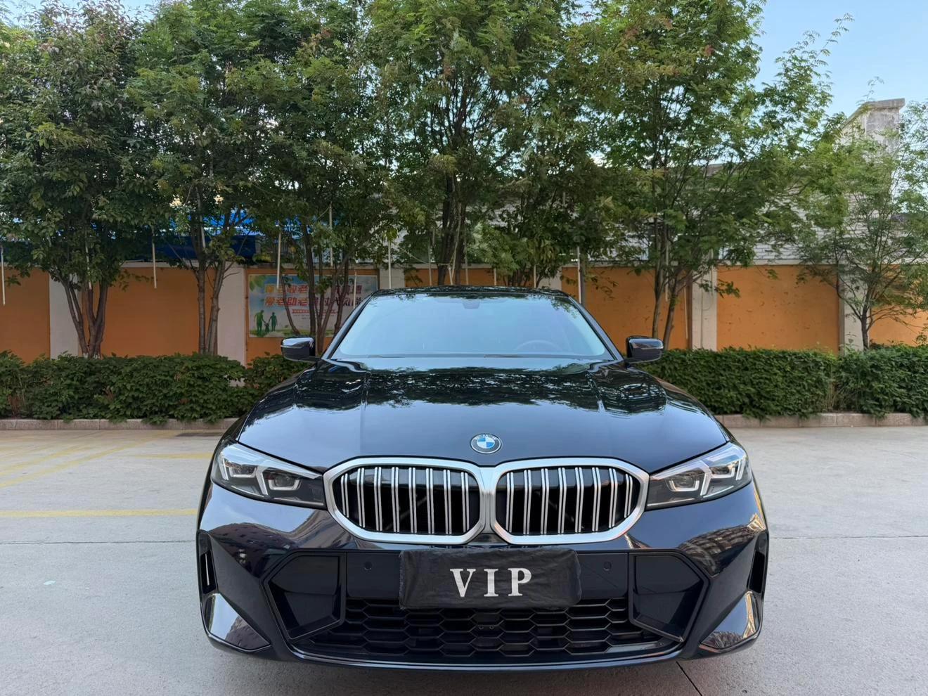 BMW 3 Series 320Li M Sport Package - exterior
