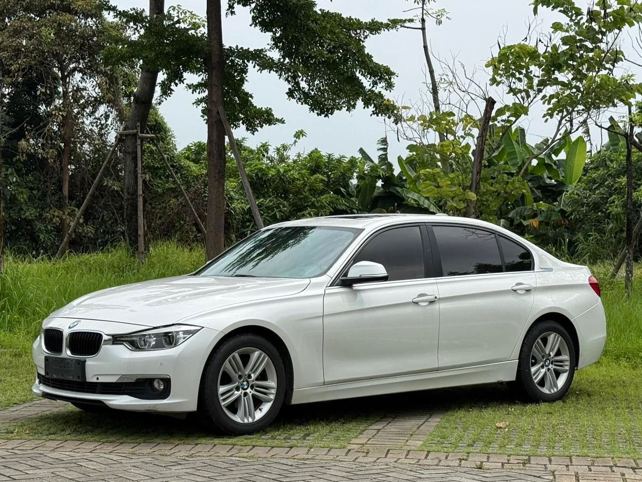 BMW 3 Series 320Li