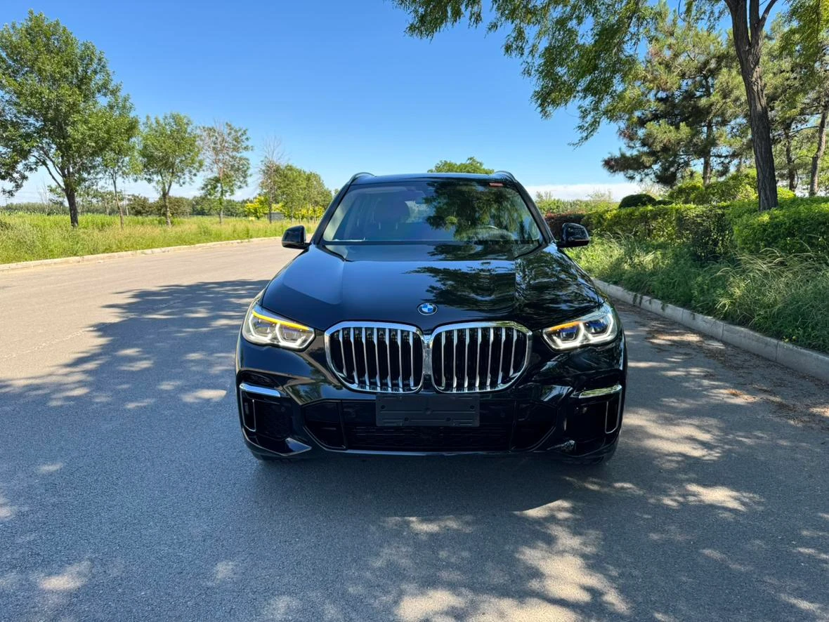 BMW X5 xDrive 30Li M Sport - exterior