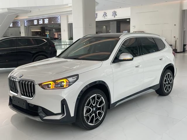 BMW X5 xDrive25Li M Sport Package