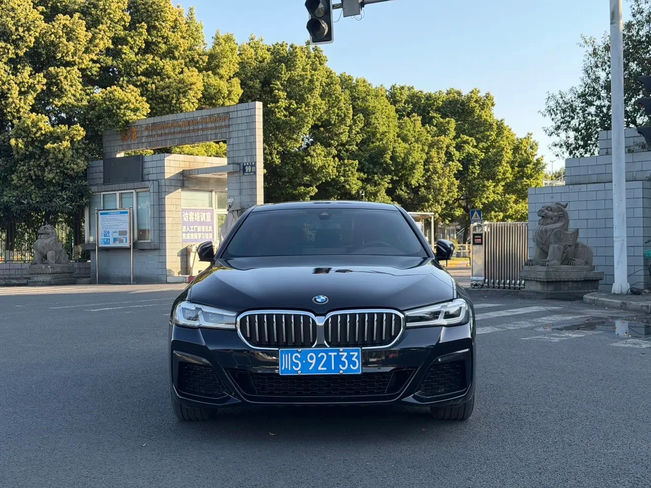 BMW 5 Series 530Li Leading Edition - exterior