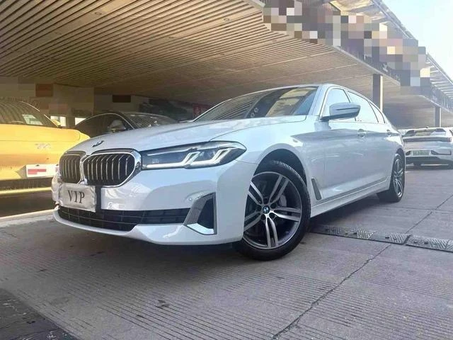 BMW 5 Series 530Li Leading