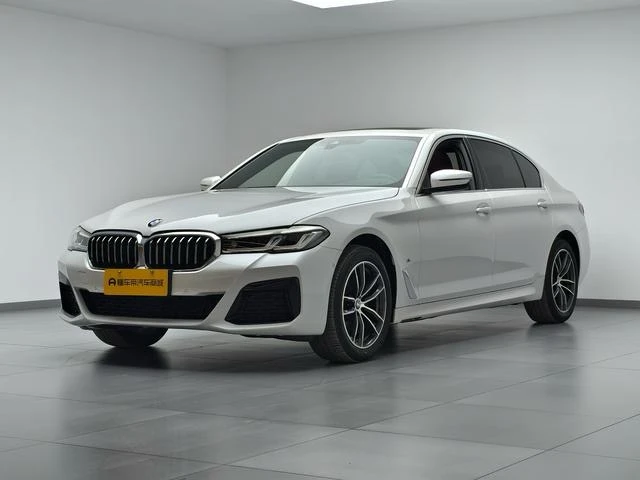 BMW 5 Series 525Li Leading