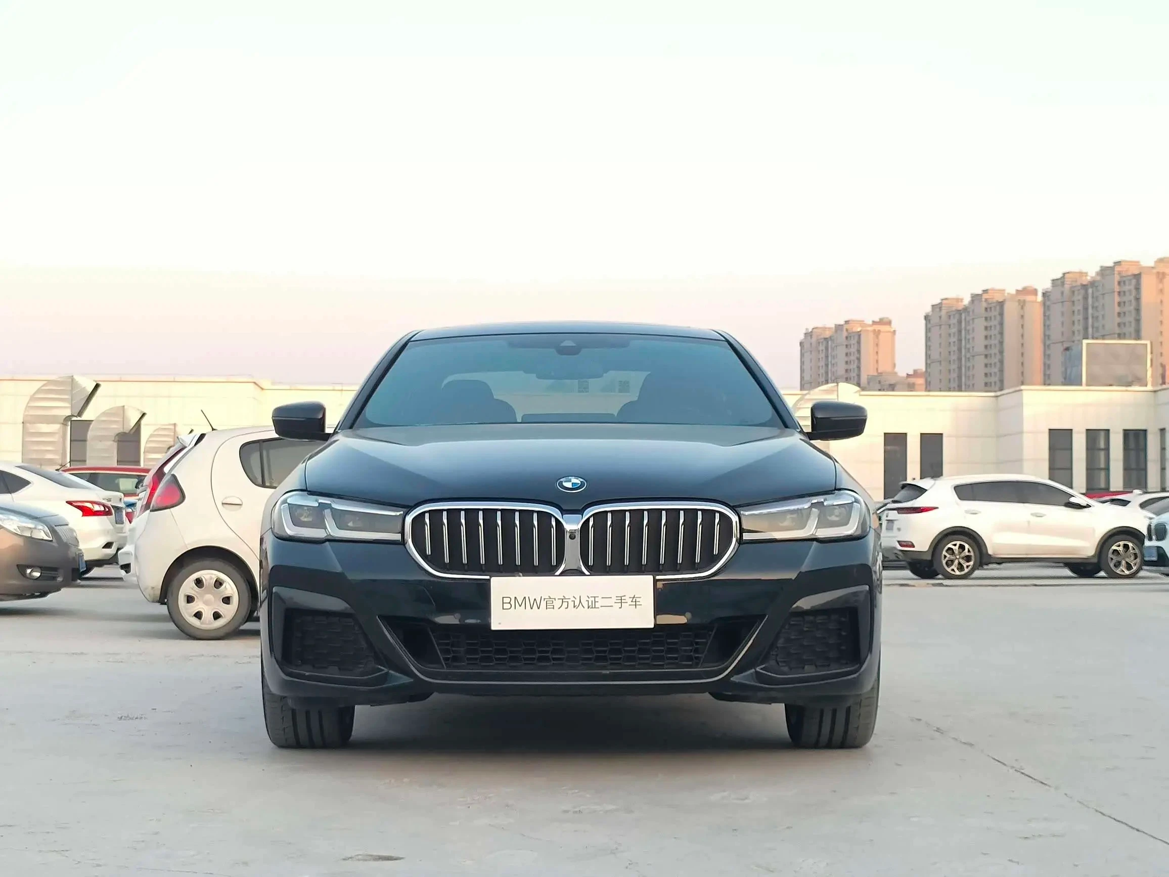 BMW 5 Series 530Li Luxury - exterior