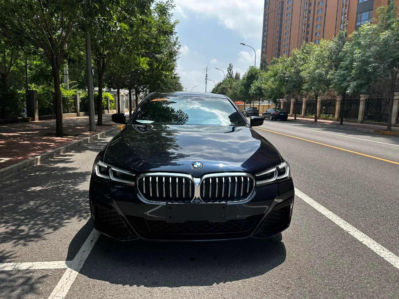 BMW 5 Series 530Li xDrive M Sport - exterior