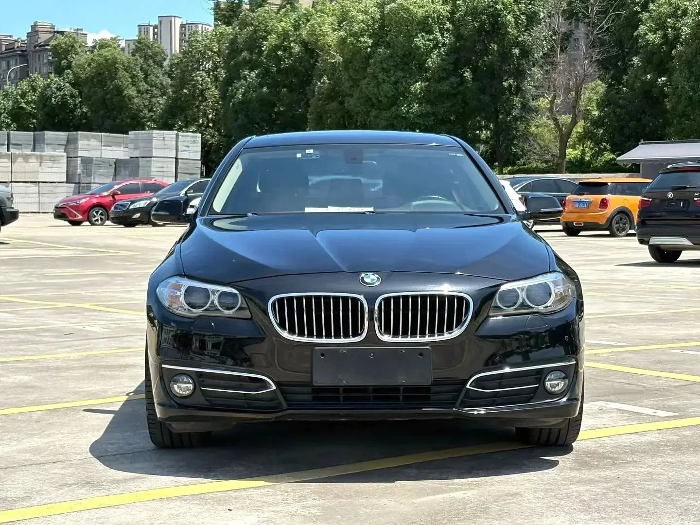 BMW 5 Series 525Li Luxury Design Package - exterior