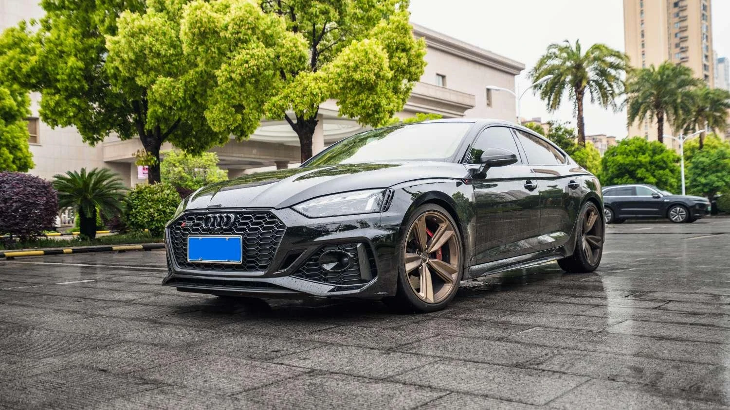 Audi RS 5 2.9T Sportback Dark Gold Edition