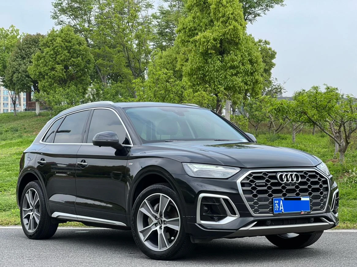 Audi Q5L 45T Luxury Dynamic Trim